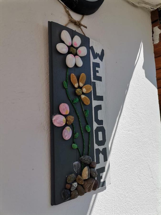 Apartman Zvoncica Vrsi Exterior photo