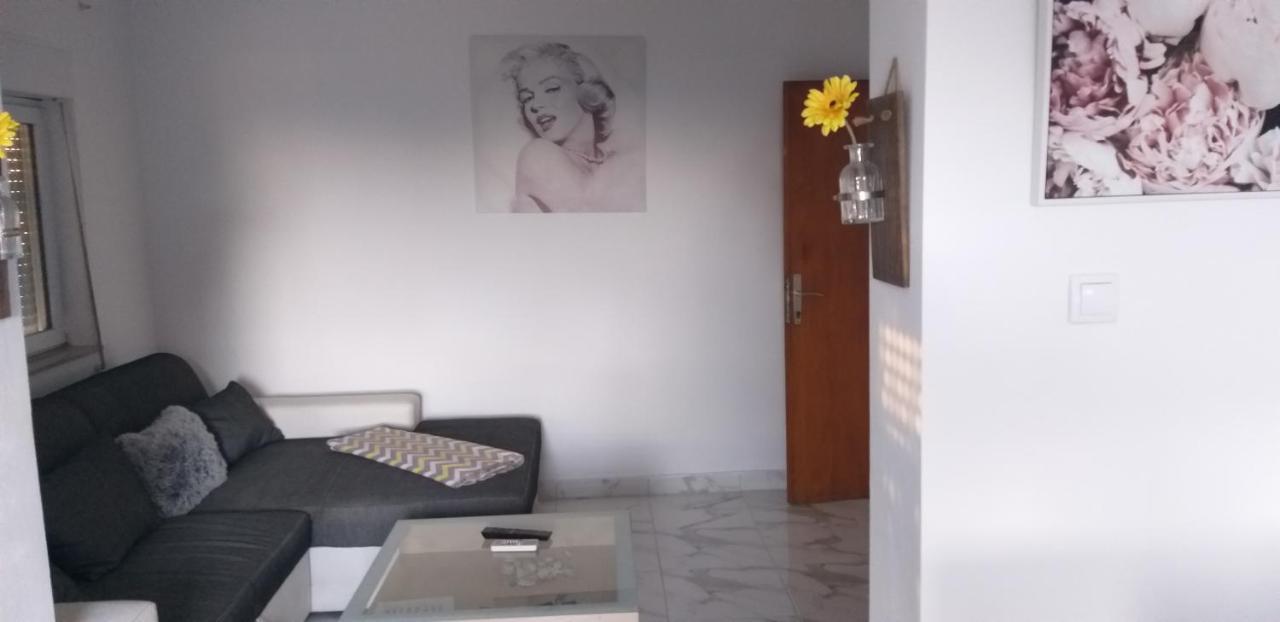 Apartman Zvoncica Vrsi Exterior photo