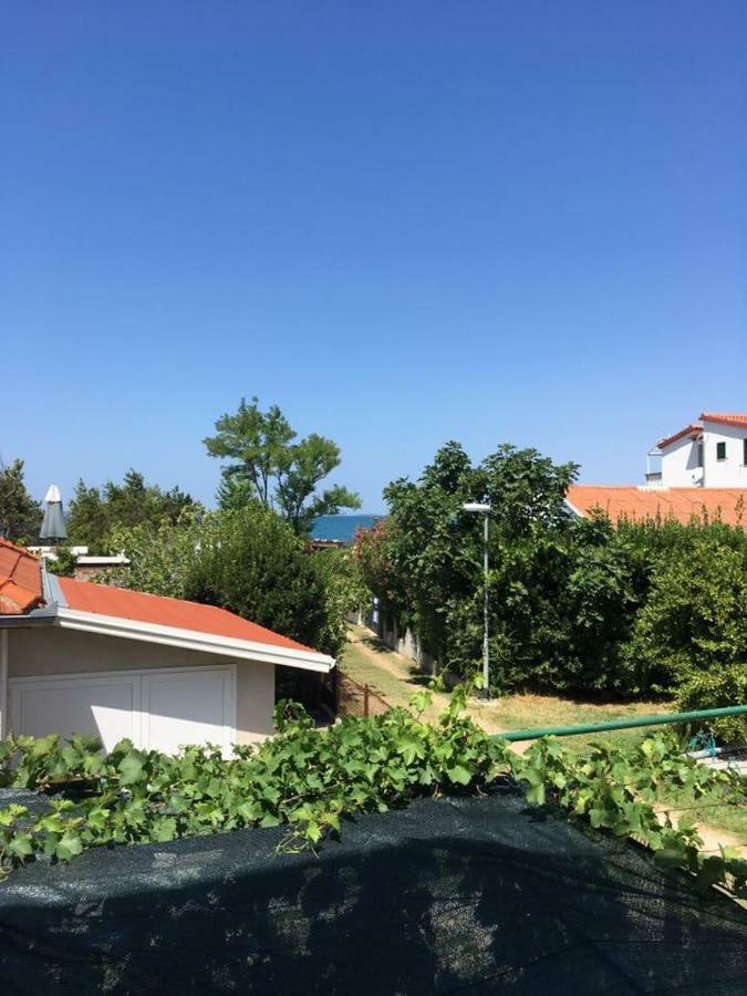 Apartman Zvoncica Vrsi Exterior photo
